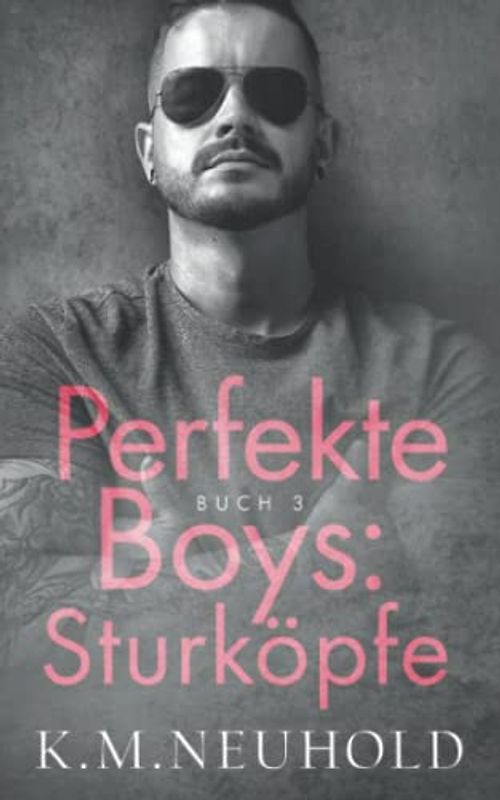 Perfekte Boys: Sturköpfe (Buch 3)