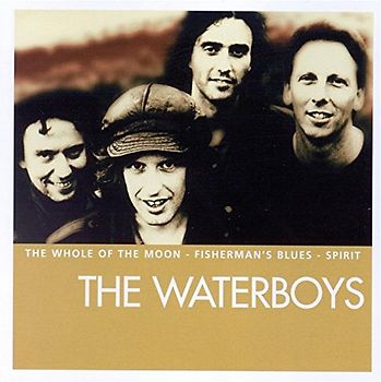 the Waterboys - Essential
