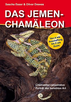 Das Jemenchamäleon / Chamaeleo calyptratus