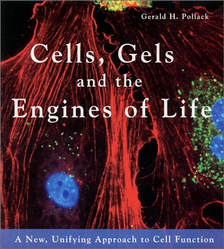Cells, Gels and the Engines of Life: A New, Unifying Approach to Cell Function - Pollack, Gerald H.