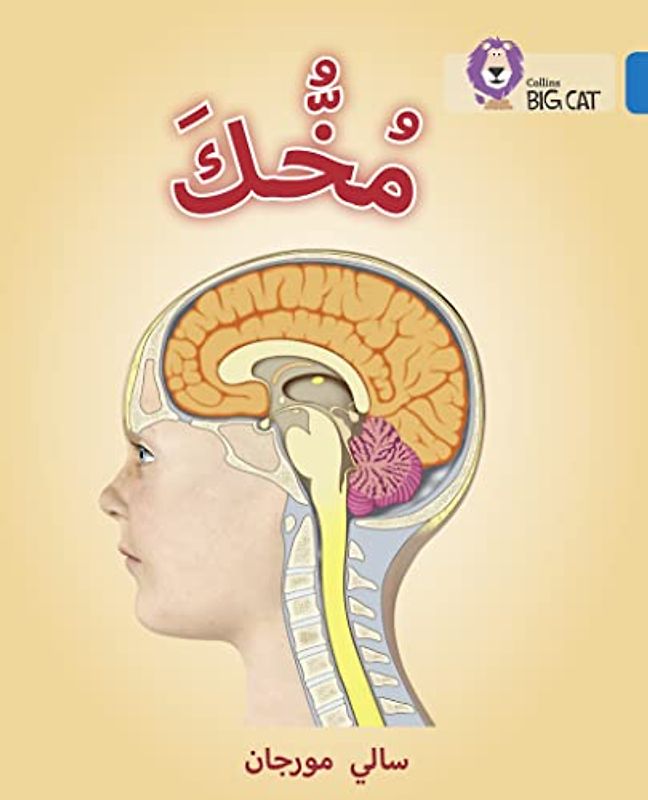 Your Brain: Level 16 (Collins Big Cat Arabic Reading Programme)