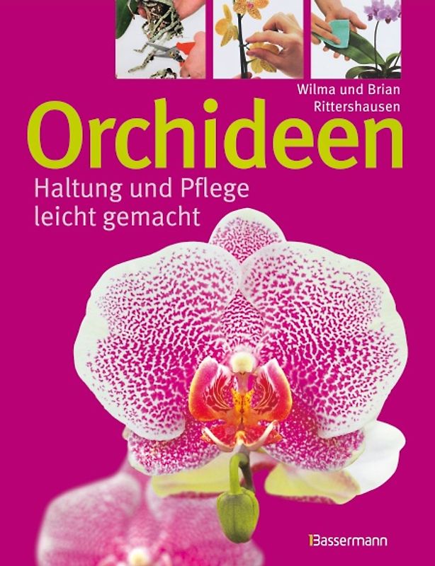 Orchideen