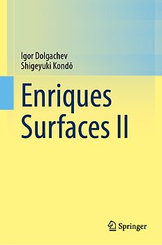 Enriques Surfaces II