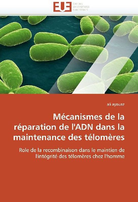 Mécanismes de la réparation de l''ADN dans la maintenance des télomères