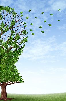 Demenz und Familie Wie man mit der Krankheit umgehen kann