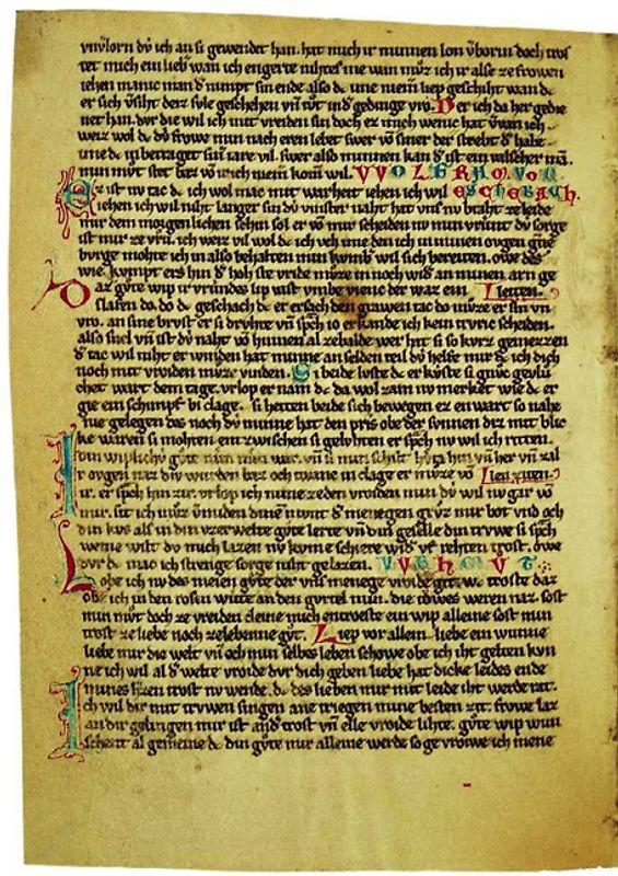 Die kleine Heidelberger Liederhandschrift