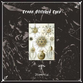 Cross Stitched Eyes - Decomposition