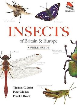 Insects of Britain and Europe