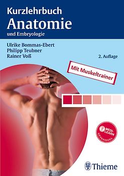 Kurzlehrbuch Anatomie
