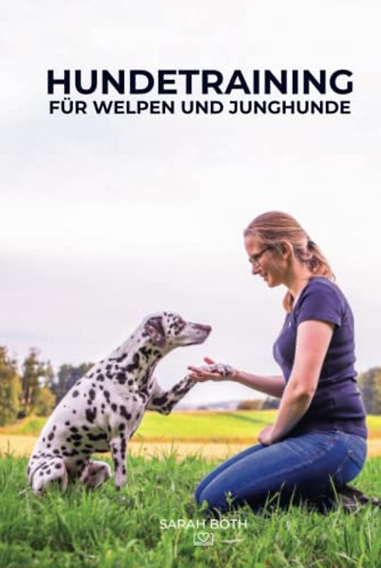 Hundetraining für Welpen und Junghunde