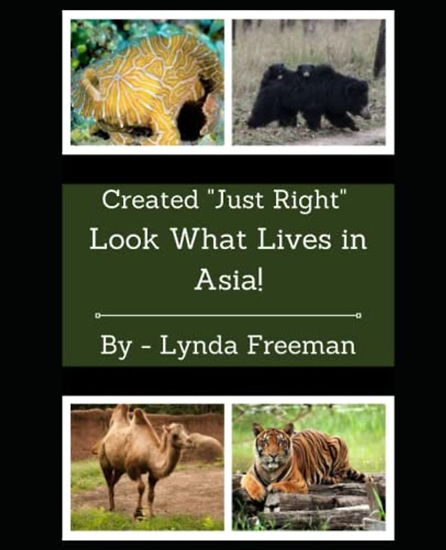 Created "Just Right" - Look What Lives in Asia!