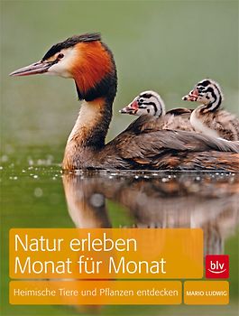 Natur erleben Monat für Monat