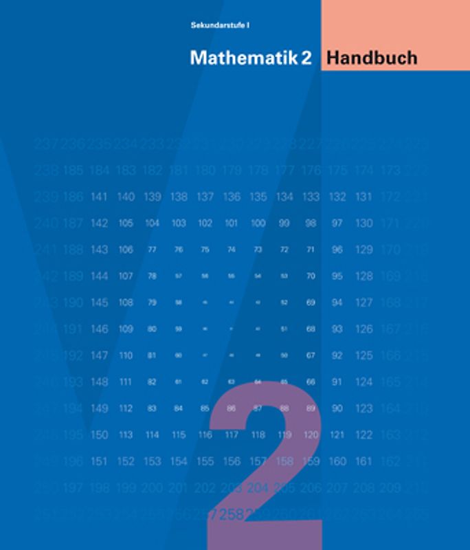 Mathematik 2 Sekundarstufe I / Handbuch