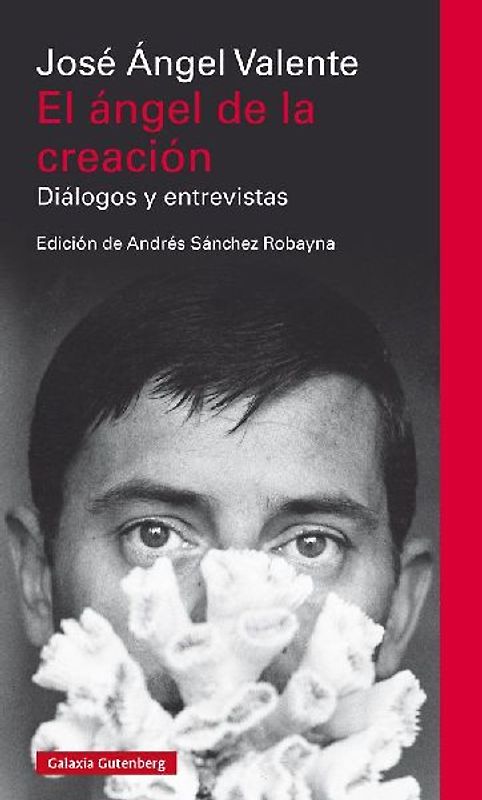 El ángel de la creación : diálogos y entrevistas