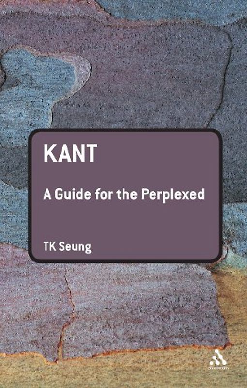 Kant: A Guide for the Perplexed (Guides for the Perplexed) - T. K. Seung