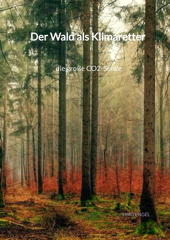 Der Wald als Klimaretter - die große CO2-Senke