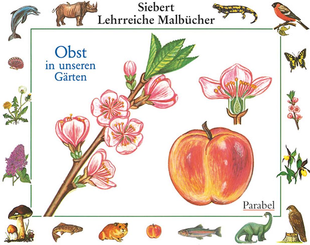 Obst in unseren Gärten. Malbuch