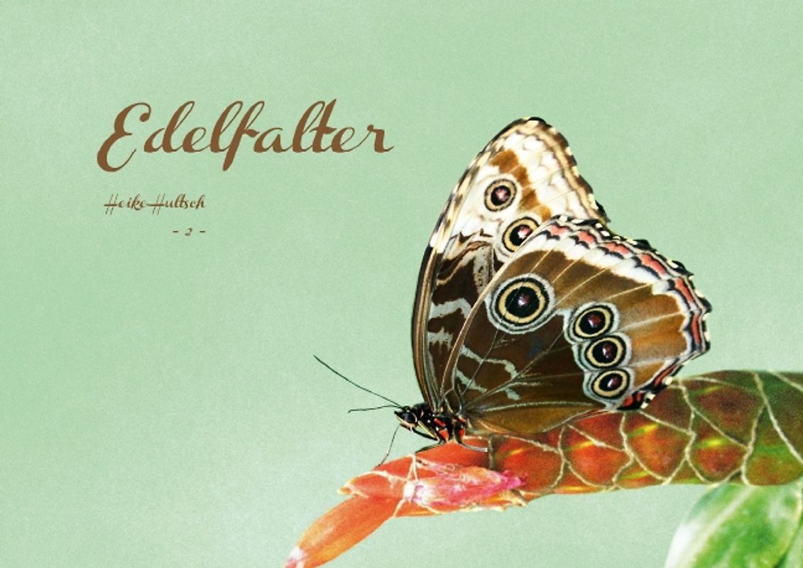 Edelfalter - 2 - (Posterbuch DIN A4 quer)