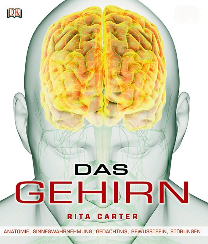 Das Gehirn