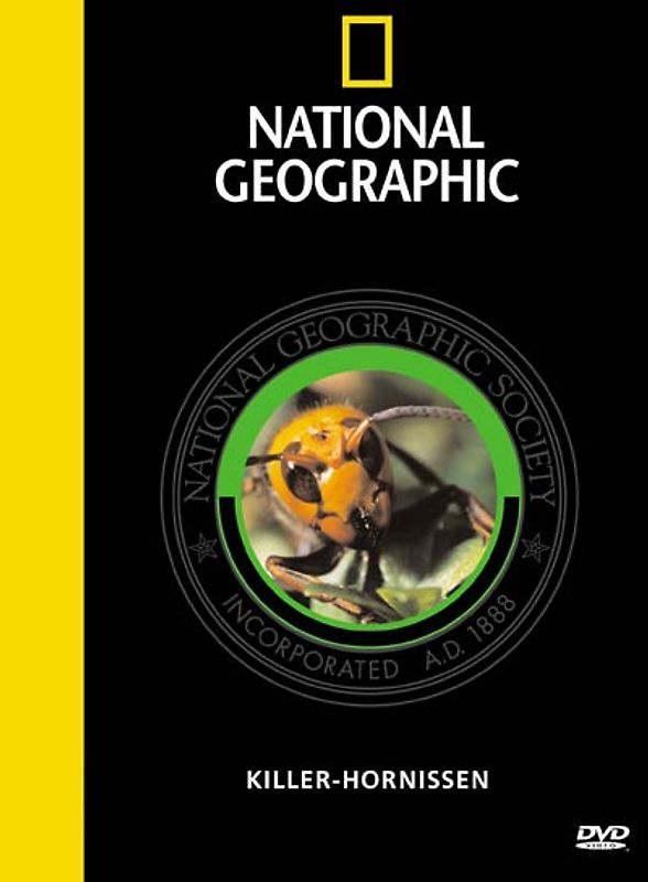 NG DVD Killerhornissen DVD