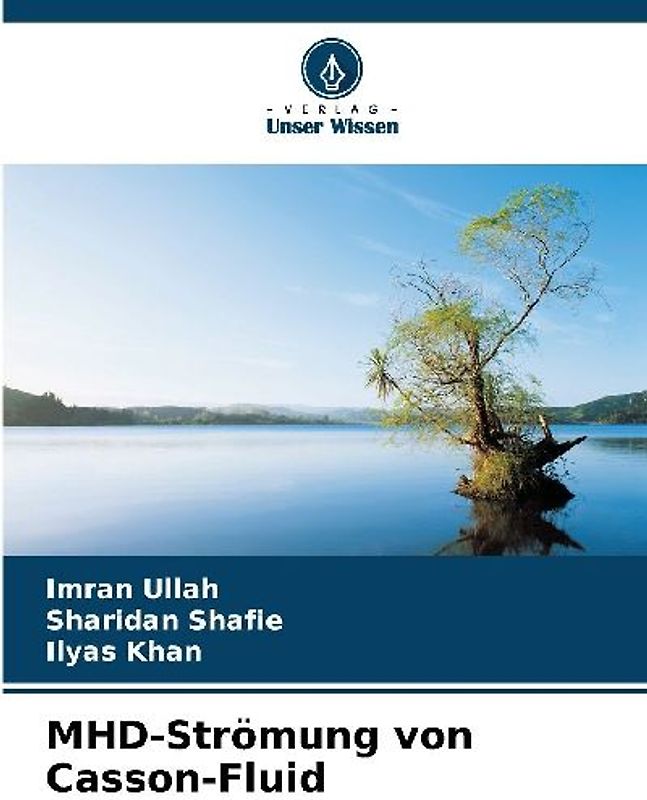 MHD-Strömung von Casson-Fluid
