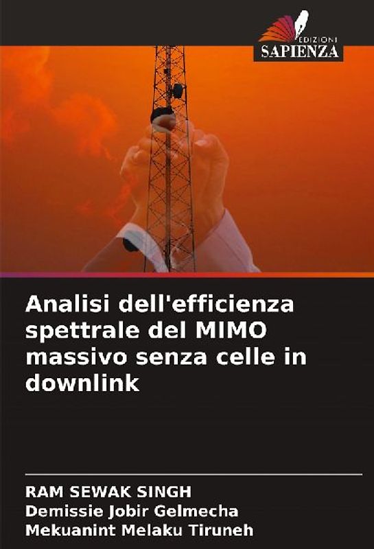 Analisi dell'efficienza spettrale del MIMO massivo senza celle in downlink