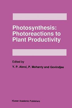 Photosynthesis: Photoreactions to Plant Productivity