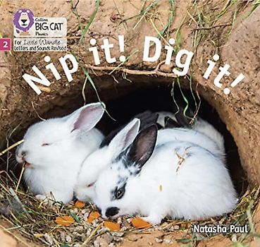 Big Cat Phonics for Little Wandle Letters and Sounds Revised - Nip It! Dig It!