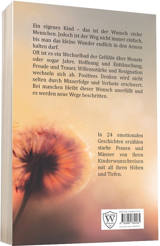 Betriebssysteme im Einsatz / MS-DOS 3.0 und 3.1