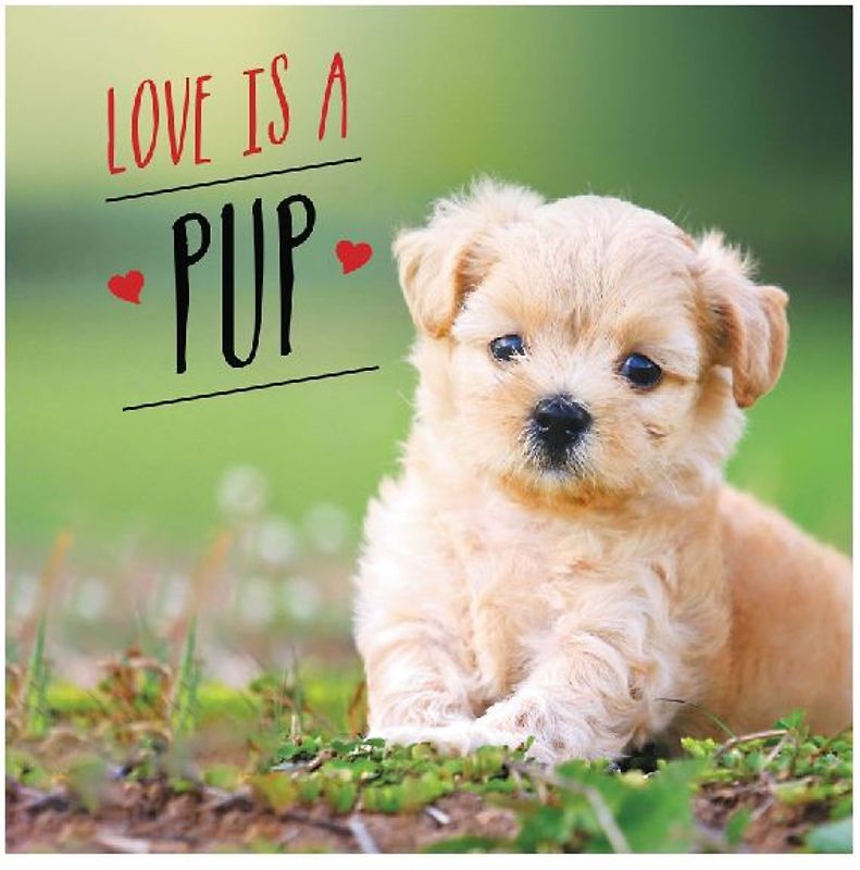 Love Is a Pup