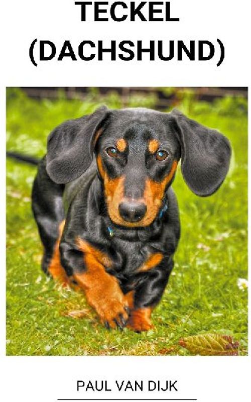Teckel (dachshund)