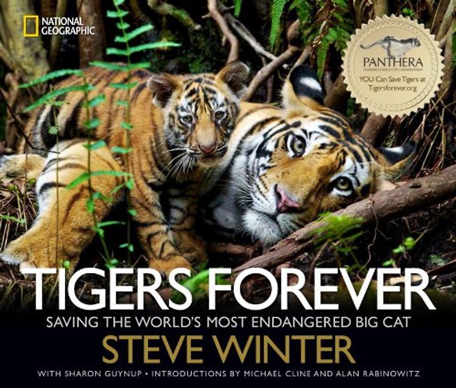 Tigers Forever: Saving the World's Most Endangered Big Cat - Winter, Steve