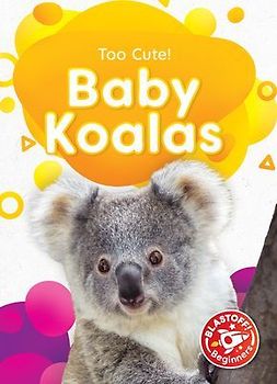 Baby Koalas