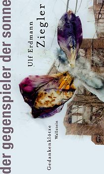 Der Gegenspieler der Sonne. Gedankenklötze