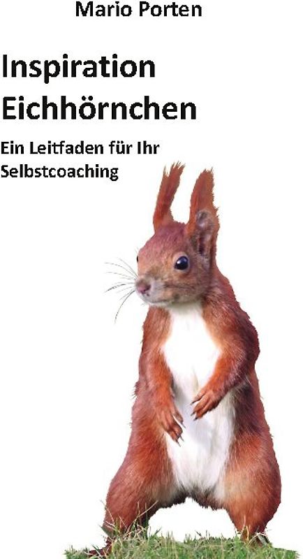 Inspiration Eichhörnchen