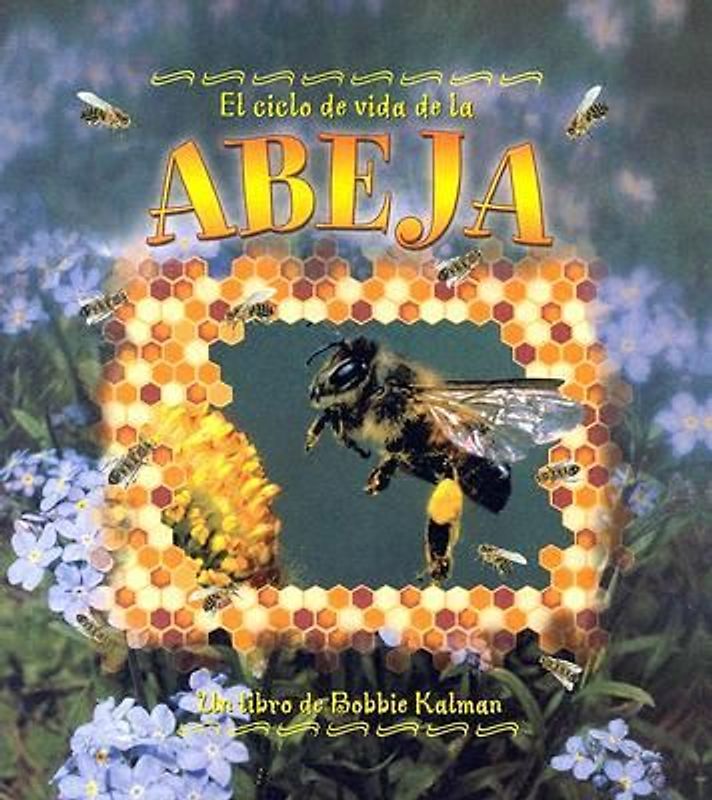El Ciclo de Vida de la Abeja (the Life Cycle of a Honeybee)