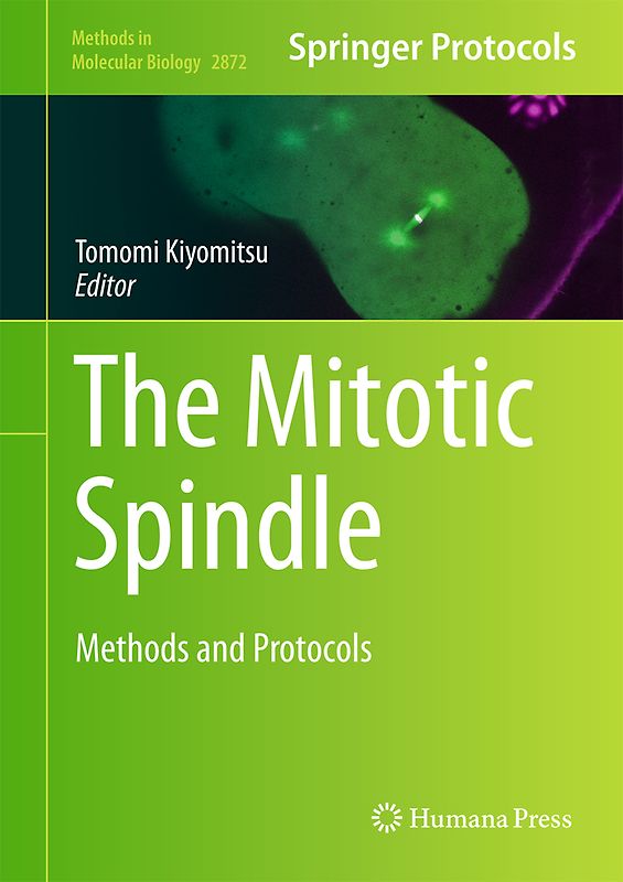 The Mitotic Spindle