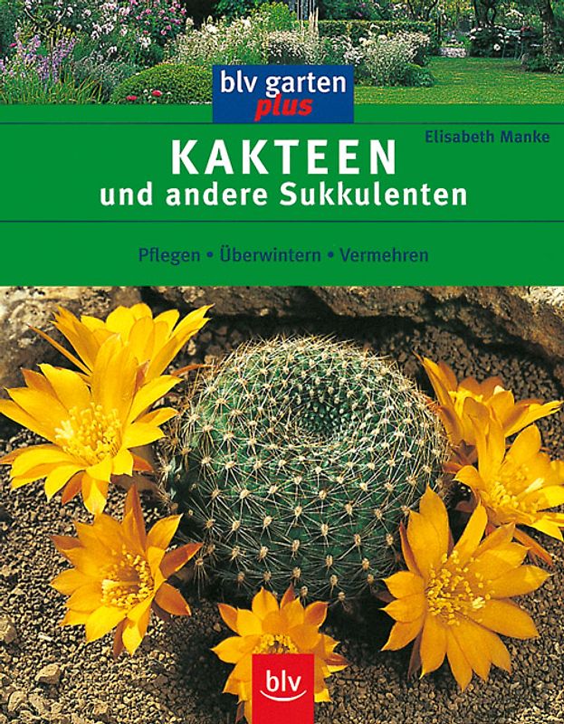 Kakteen und andere Sukkulenten