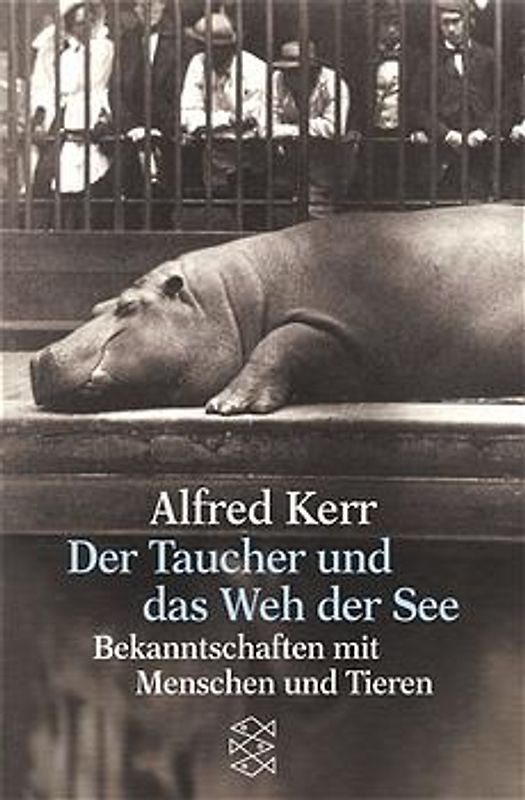 Der Taucher und das Weh der See