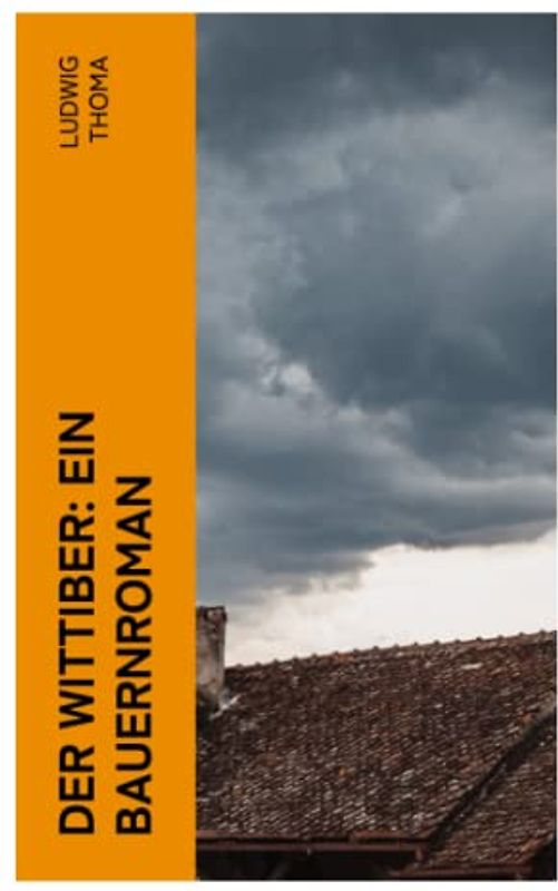 Der Wittiber: Ein Bauernroman