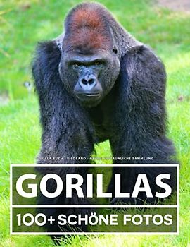 Gorilla Buch - Bildband - Große Erstaunliche Sammlung: 100 Wunderschöne Bildern - Für Kinder und Erwachsene