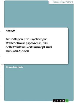 Grundlagen der Psychologie. Wahrnehmungsprozesse, das Selbstwirksamkeitskonzept und Rubikon-Modell