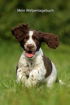 Mein Welpentagebuch: die ersten Monate mit meinem English Springer Spaniel (English Springer Spaniel - alle Bücher: Trainingstagebuch, Krankenakte, BARF Planer und Welpentagebuch, Band 3)