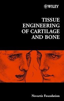 Tissue Engineering of Cartilage and Bone