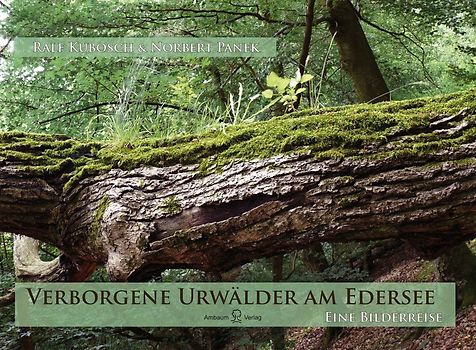 Verborgene Urwälder am Edersee