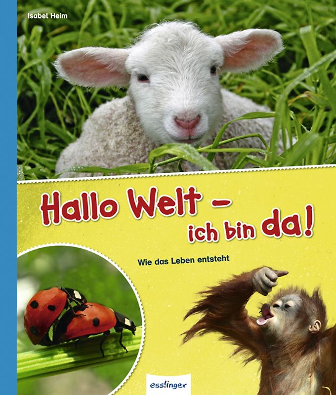 Hallo Welt - ich bin da!