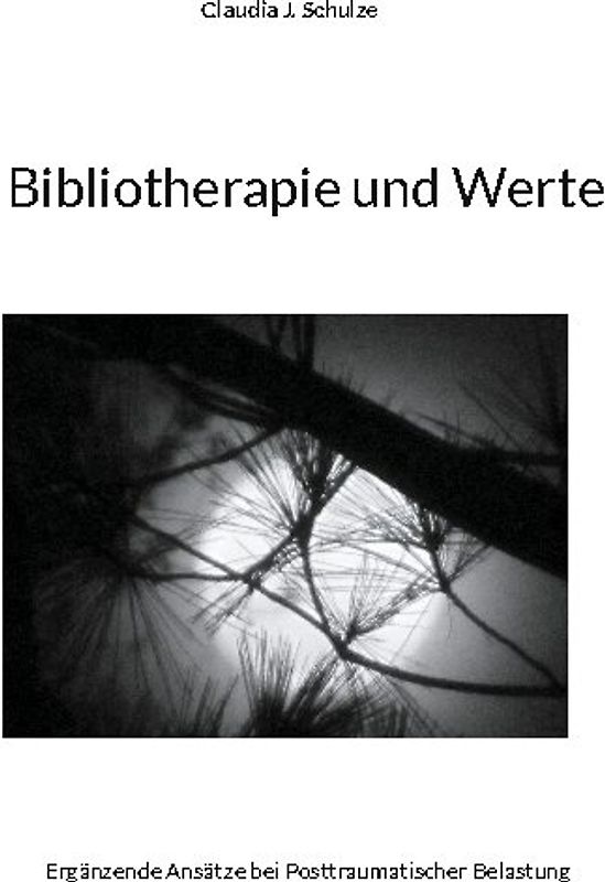 Bibliotherapie und Werte