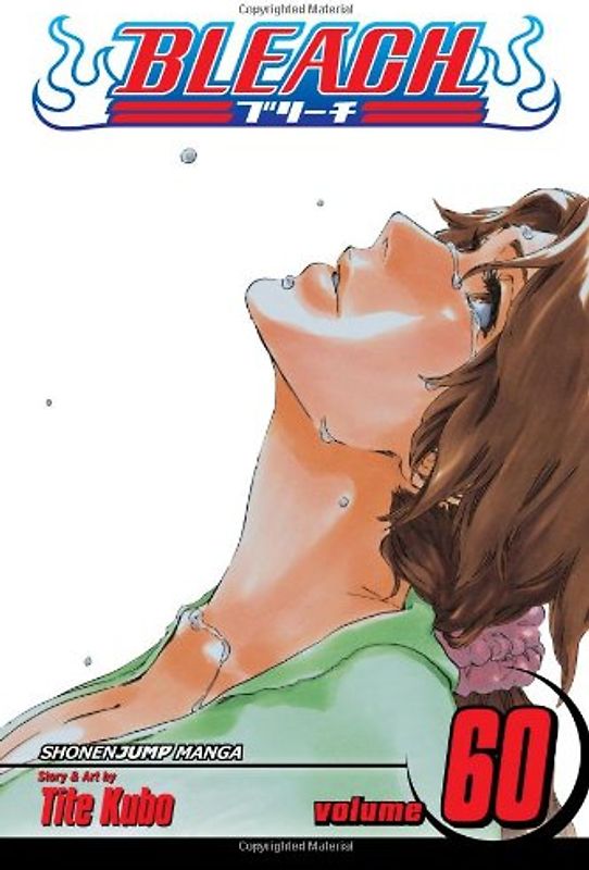 Bleach, Volume 60 - Kubo, Tite