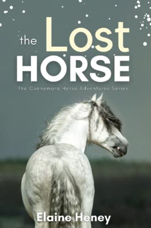 The Lost Horse - Book 6 in the Connemara Horse Adventure Series for Kids | The Perfect Gift for Children age 8-12 (Connemara Adventures, Band 6)