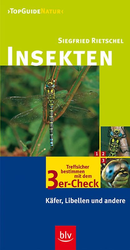 Insekten